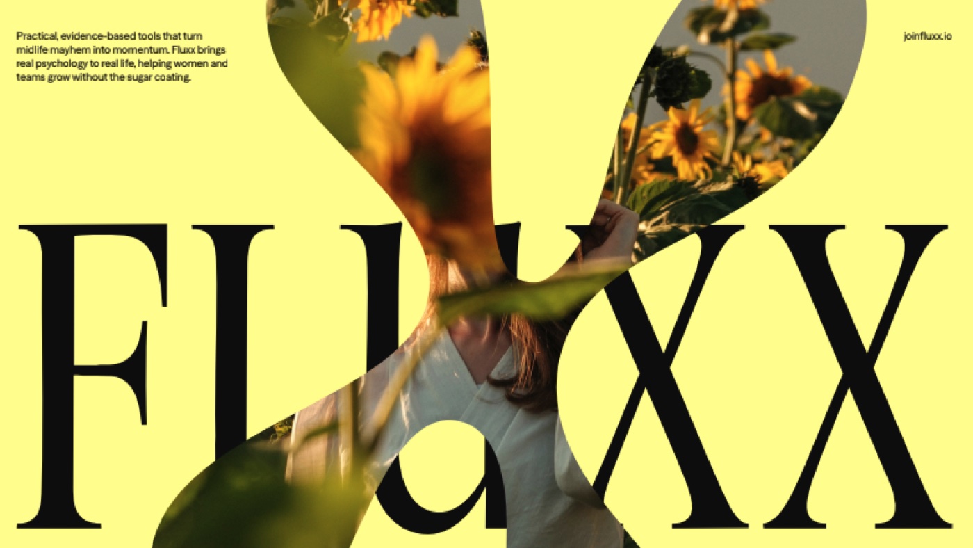 Fluxx — work 2